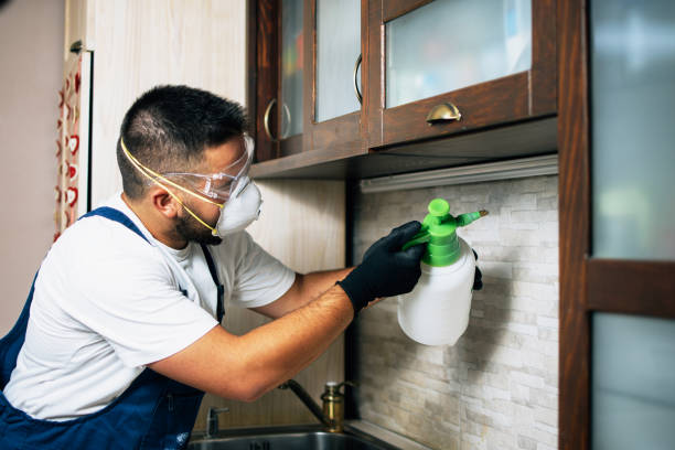 Best Affordable Pest Control Services  in Lowell, NC
