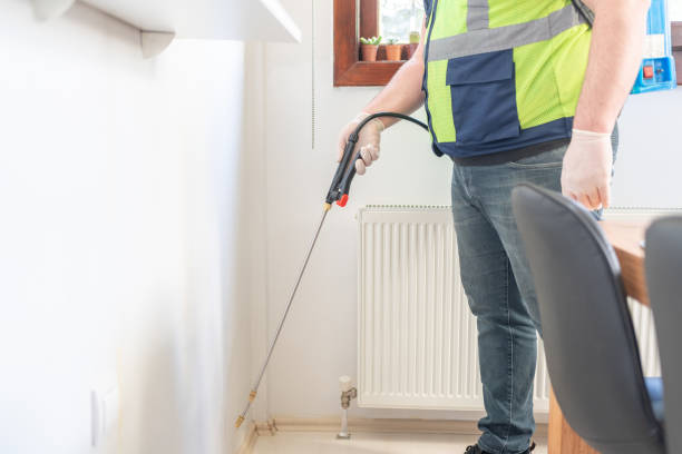 Reliable Lowell, NC Pest Control Solutions