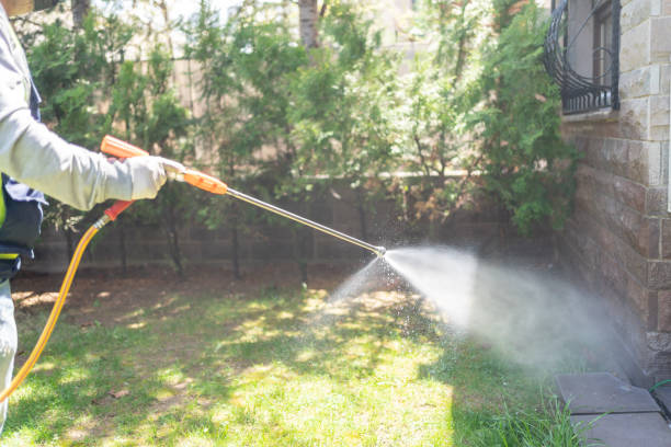 Best Affordable Pest Control Services  in Lowell, NC