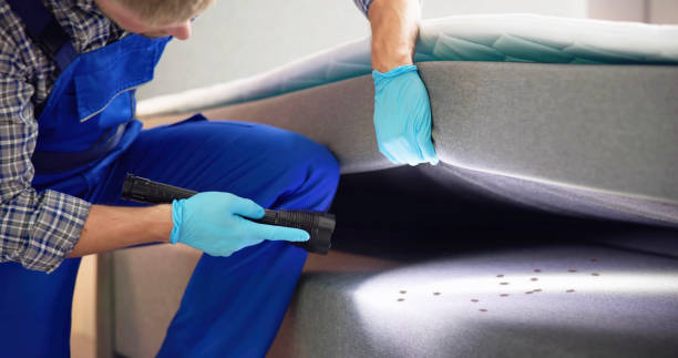 Pest Control for Restaurants in Lowell, NC