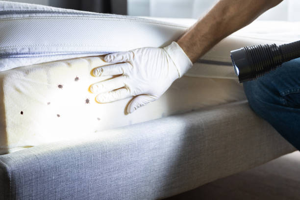Best Pest Prevention Services  in Lowell, NC