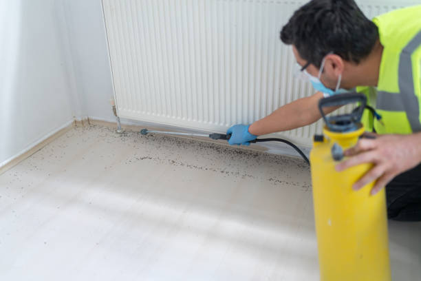 Best Emergency Pest Control  in Lowell, NC