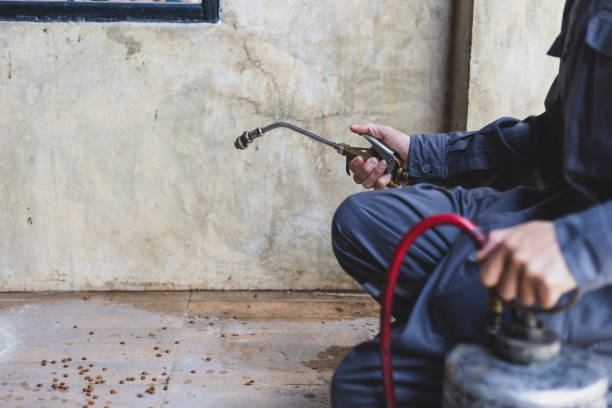 Best Pest Control Near Me  in Lowell, NC