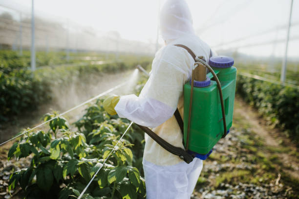 Best Pest Removal Services  in Lowell, NC